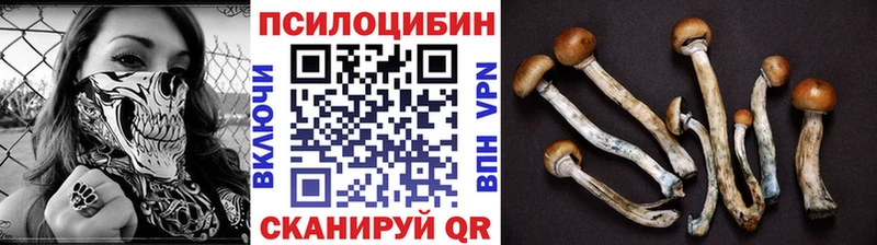 Псилоцибиновые грибы Cubensis  Купить закладки  Костерёво 